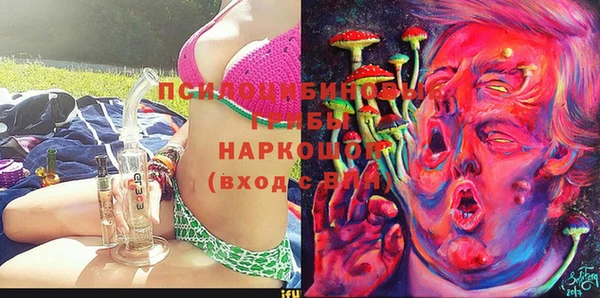 бошки Алексеевка