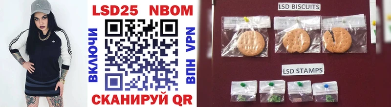купить наркоту  Кимры  мориарти Telegram  Марки N-bome 1,8мг 