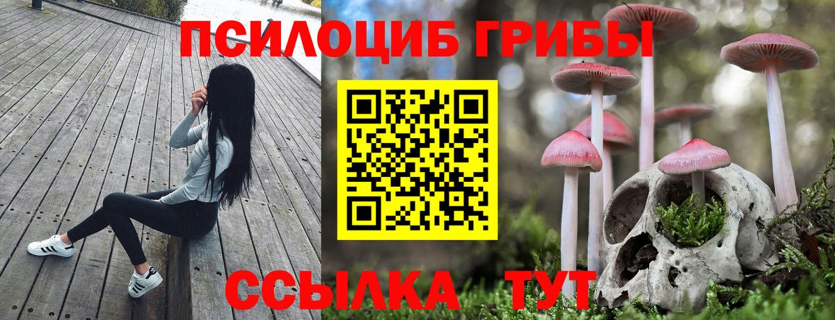 Псилоцибиновые грибы Psilocybine cubensis  Псилоцибиновые грибы ЛСД  Кимры  Вход с VPN 