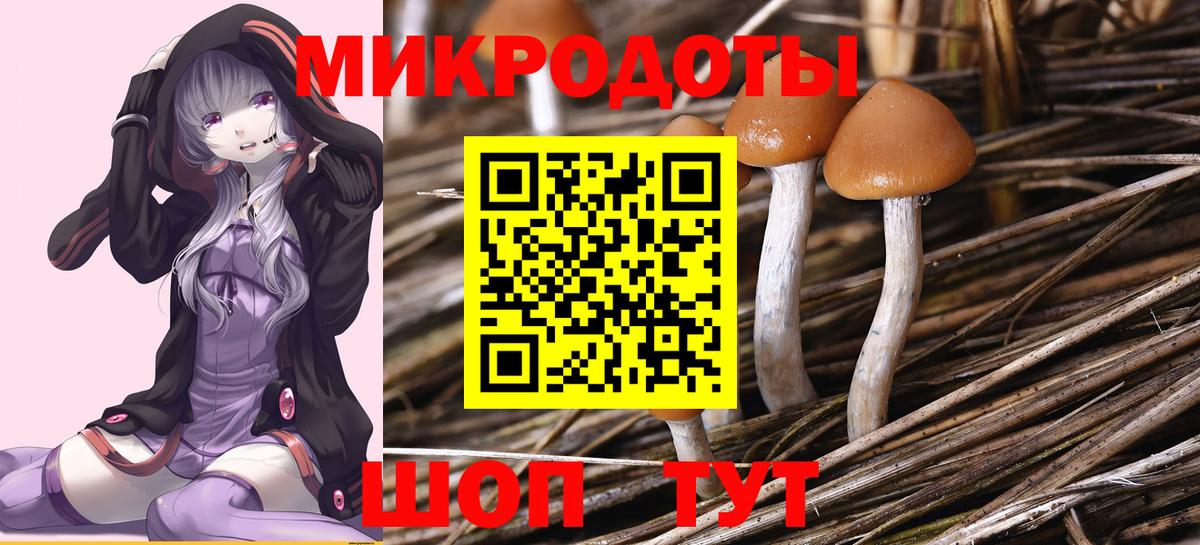 Галлюциногенные грибы мухоморы Кимры